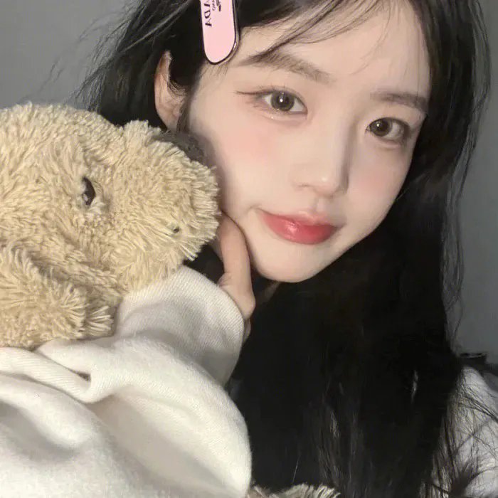 津门飞鹰