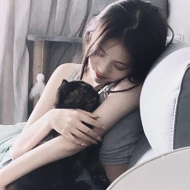 报告王爷，王妃是只猫2